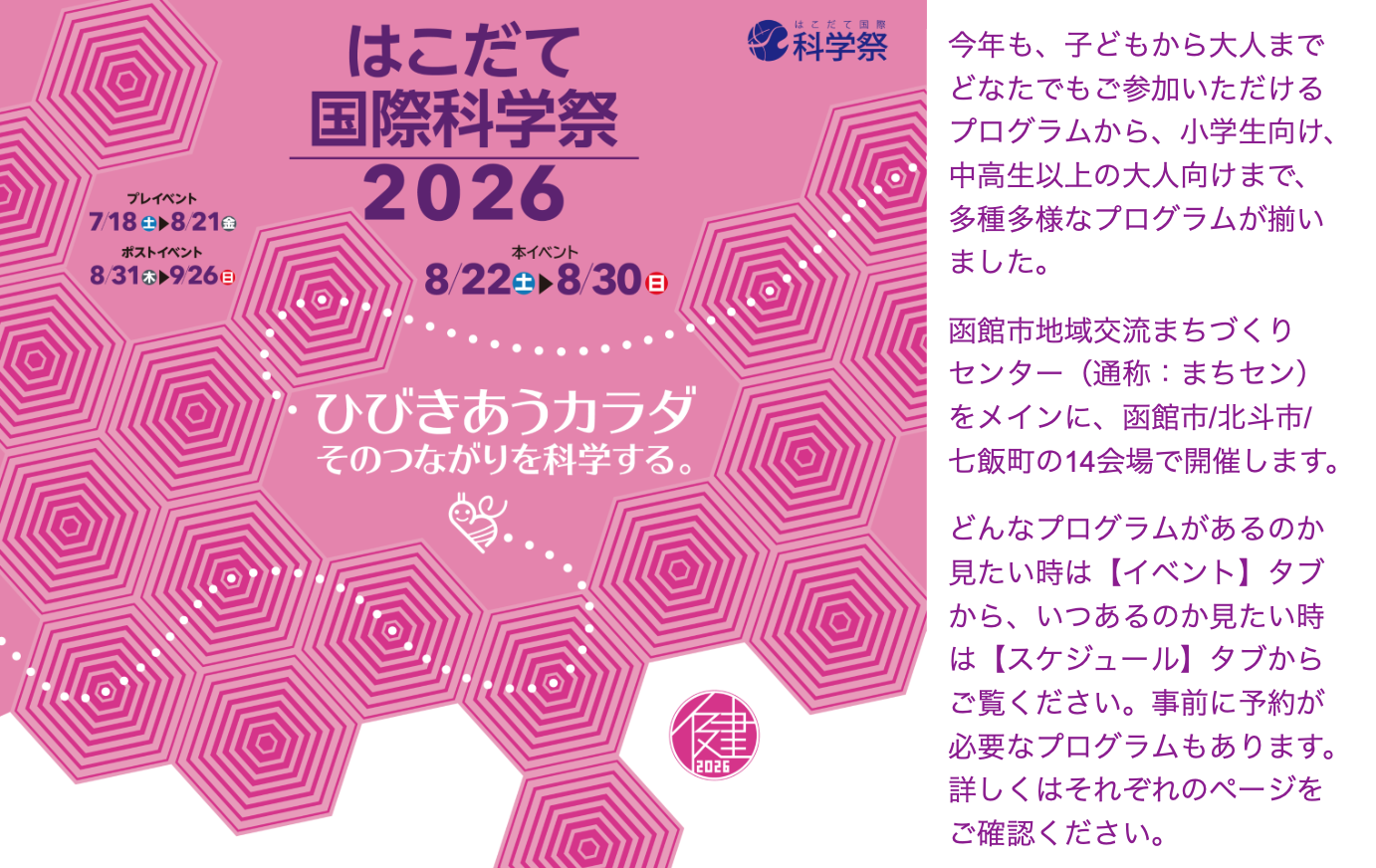 2026TOP
